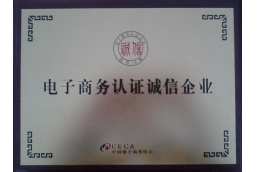 HONGDA SPRAY certificate of CECA